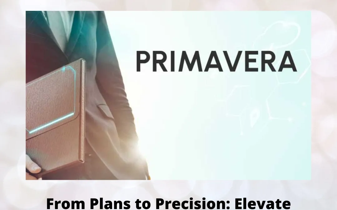 From Plans to Precision: Elevate Your Career with a Primavera Course for Civil Engineers
