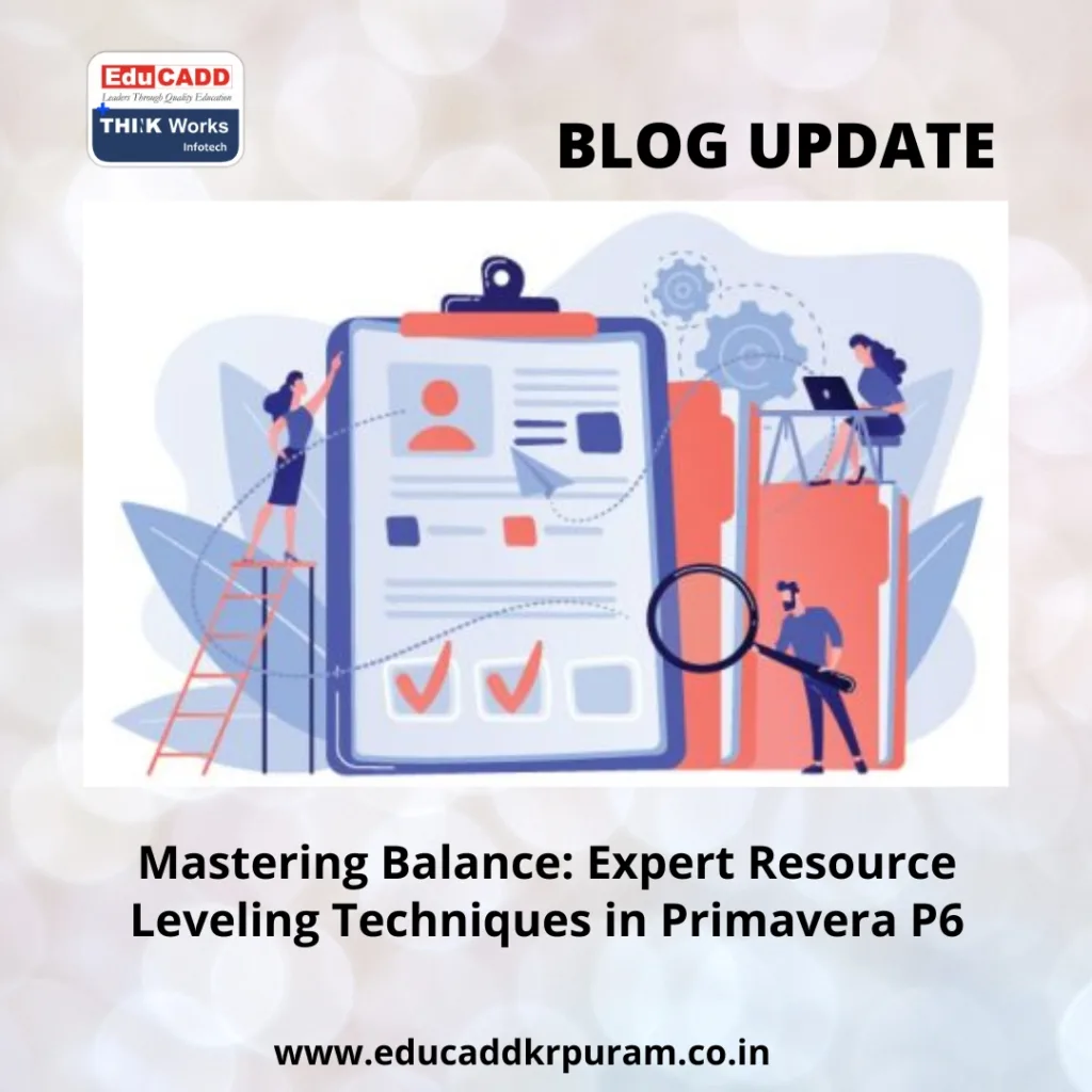Primavera P6 Resource Leveling