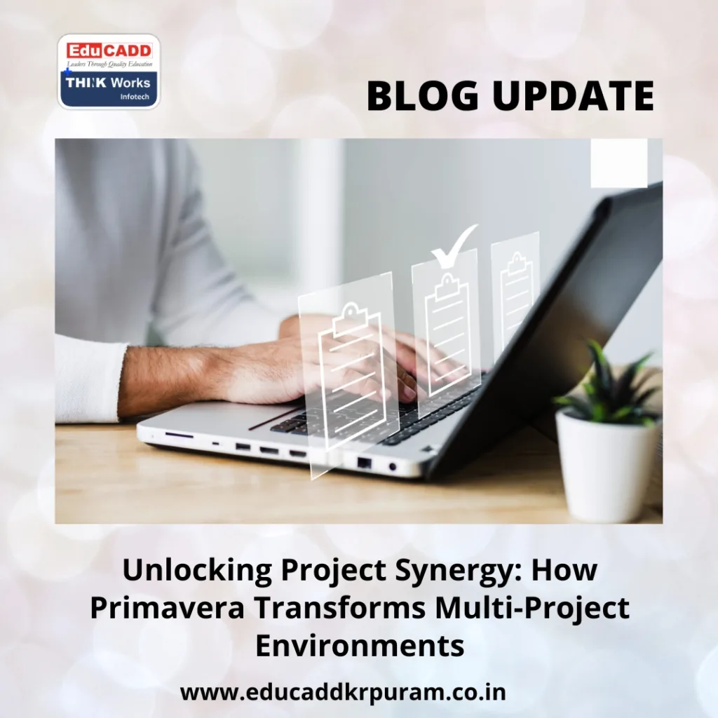 Primavera Multi-Project Management