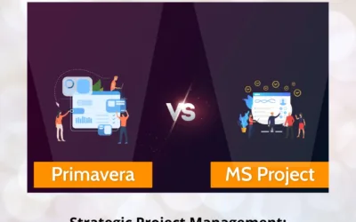 Strategic Project Management: Comparing Primavera and MS Excel
