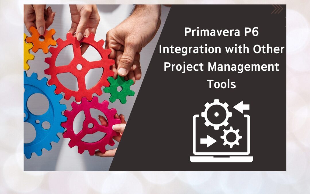 Primavera Uncovered: The Power Tool That Transforms Project Management Outcomes