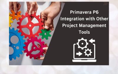 Primavera Uncovered: The Power Tool That Transforms Project Management Outcomes