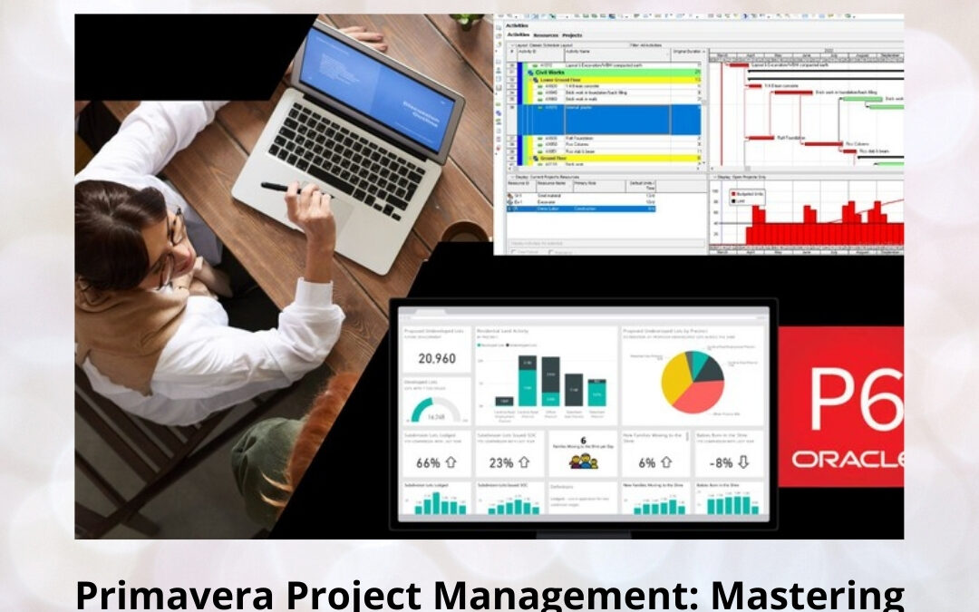 Primavera Project Management: Mastering Complex Projects with Precision and Control