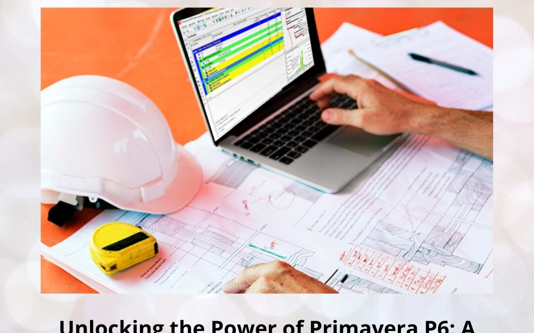 Unlocking the Power of Primavera P6: A Step-by-Step Interface and Navigation Guide