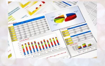 Precision Project Planning with Primavera: Your Blueprint for On-Time Delivery