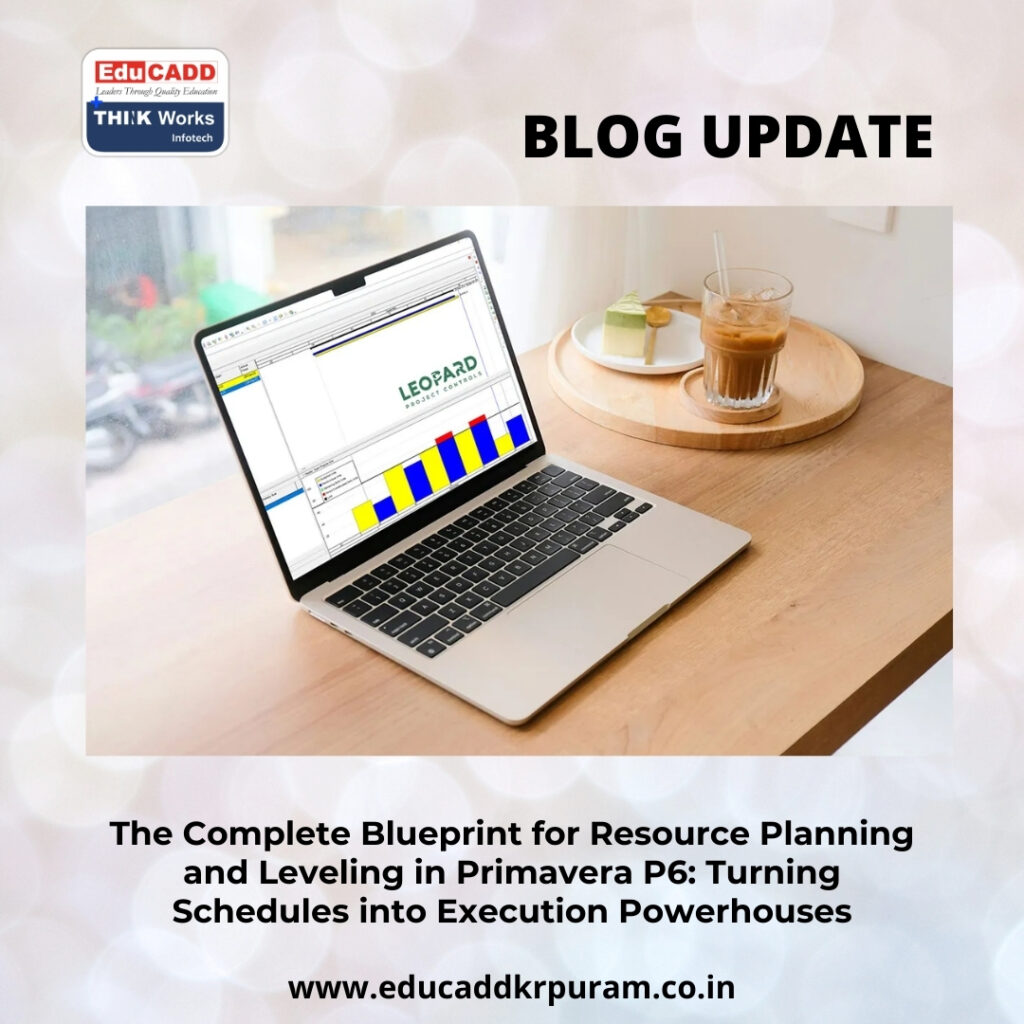 Primavera P6 Resource Planning