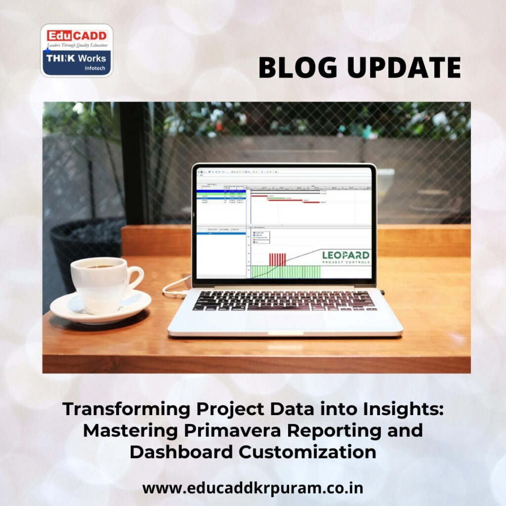 Primavera Reporting Dashboard Customization