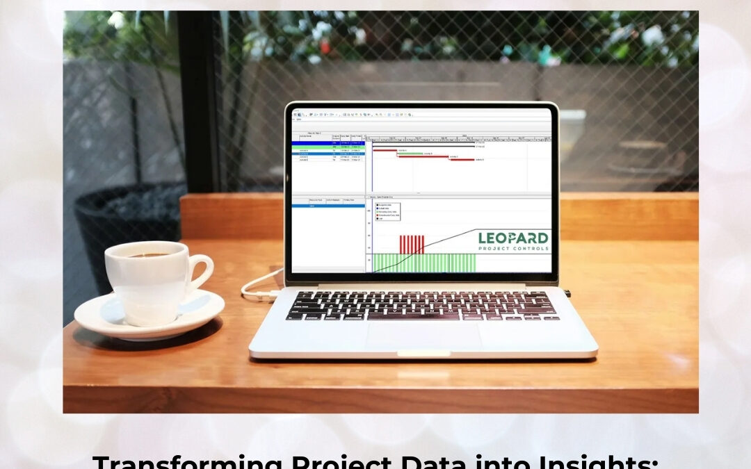 Transforming Project Data into Insights: Mastering Primavera Reporting and Dashboard Customization