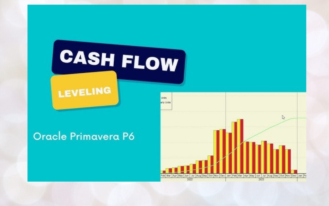 Financial Visibility in Projects: Advanced Cash Flow Forecasting with Primavera P6