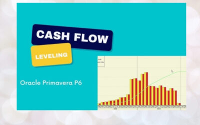 Financial Visibility in Projects: Advanced Cash Flow Forecasting with Primavera P6