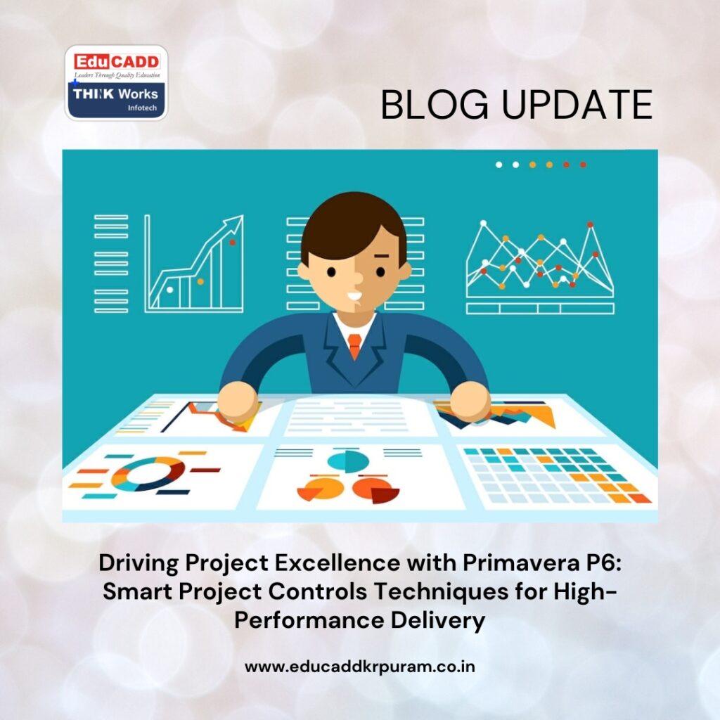 Primavera P6 Project Controls