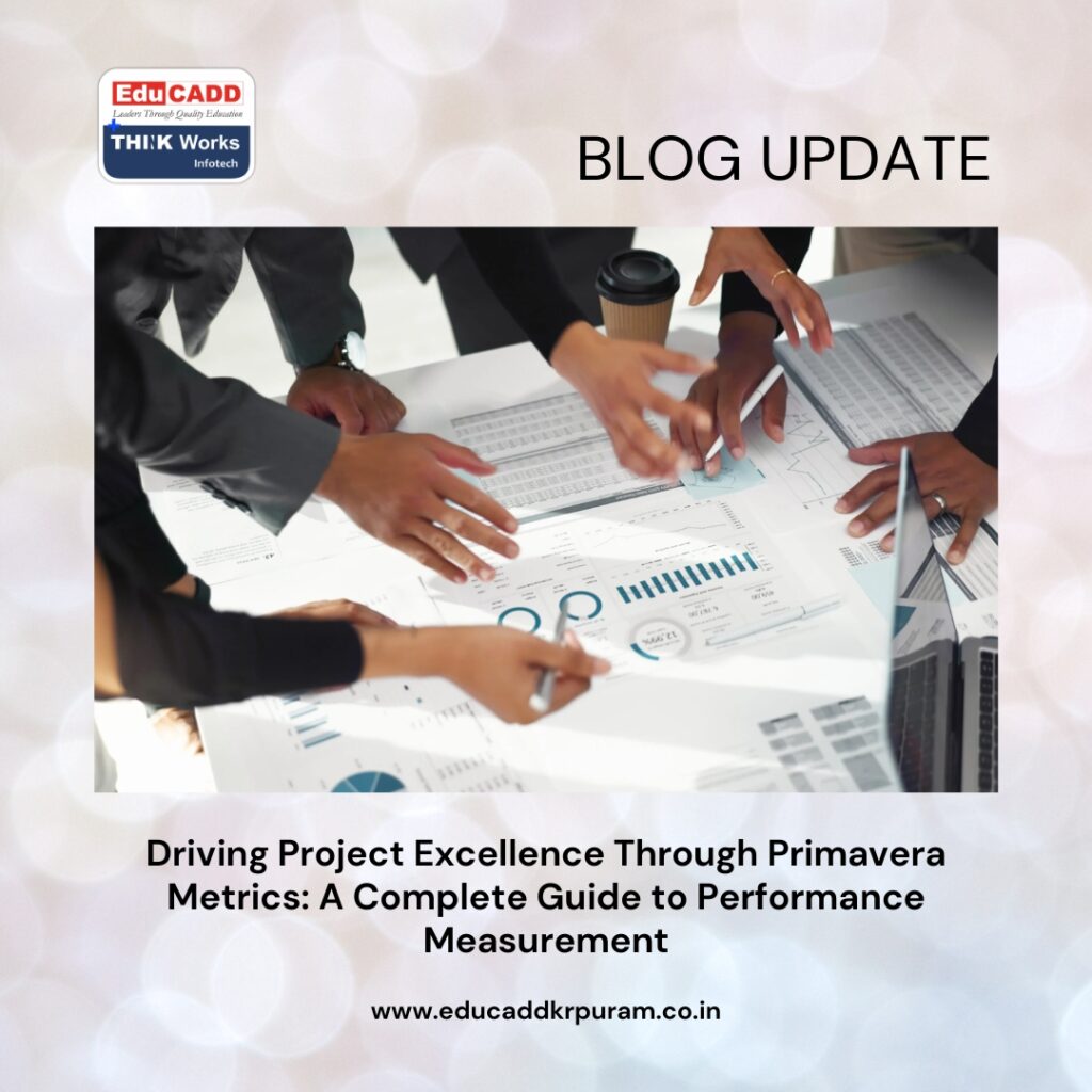 Primavera Project Performance Metrics